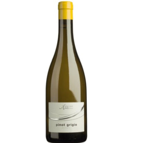 Andriano Pinot Grigio 2022 750ml